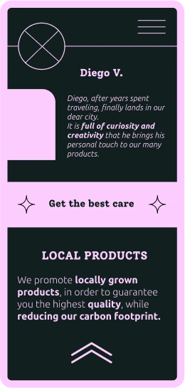 mobile wireframe local products